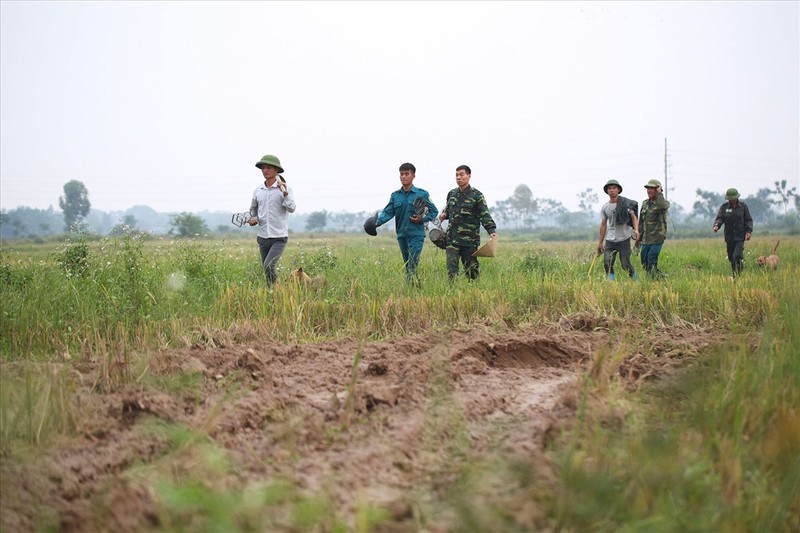 Nhon nhip mua san chuot dong o Ha Noi-Hinh-3